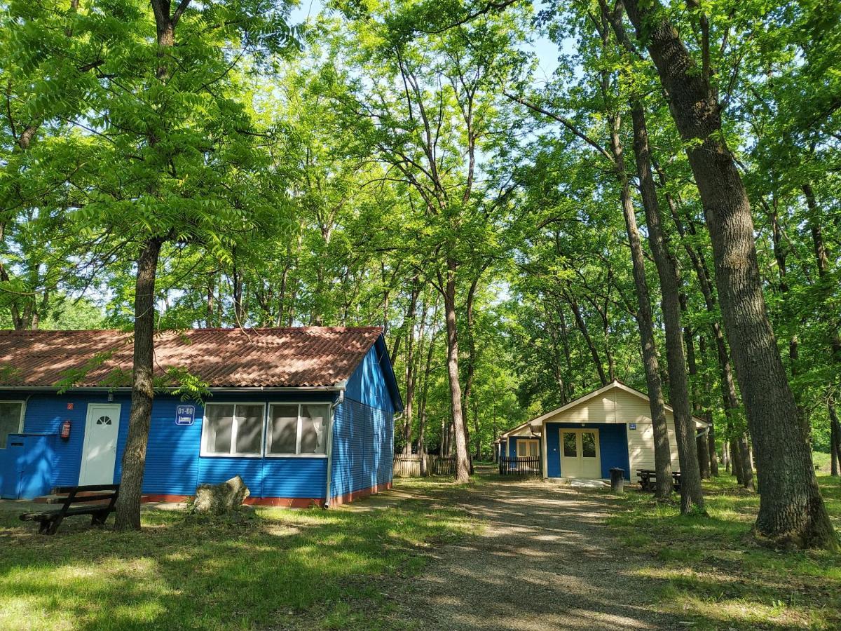 Отель Dorcas Center&Camping Дебрецен Экстерьер фото